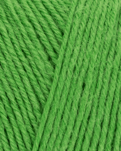 SIGNATURE 4 PLY - 395 CHOCOLATE LIME