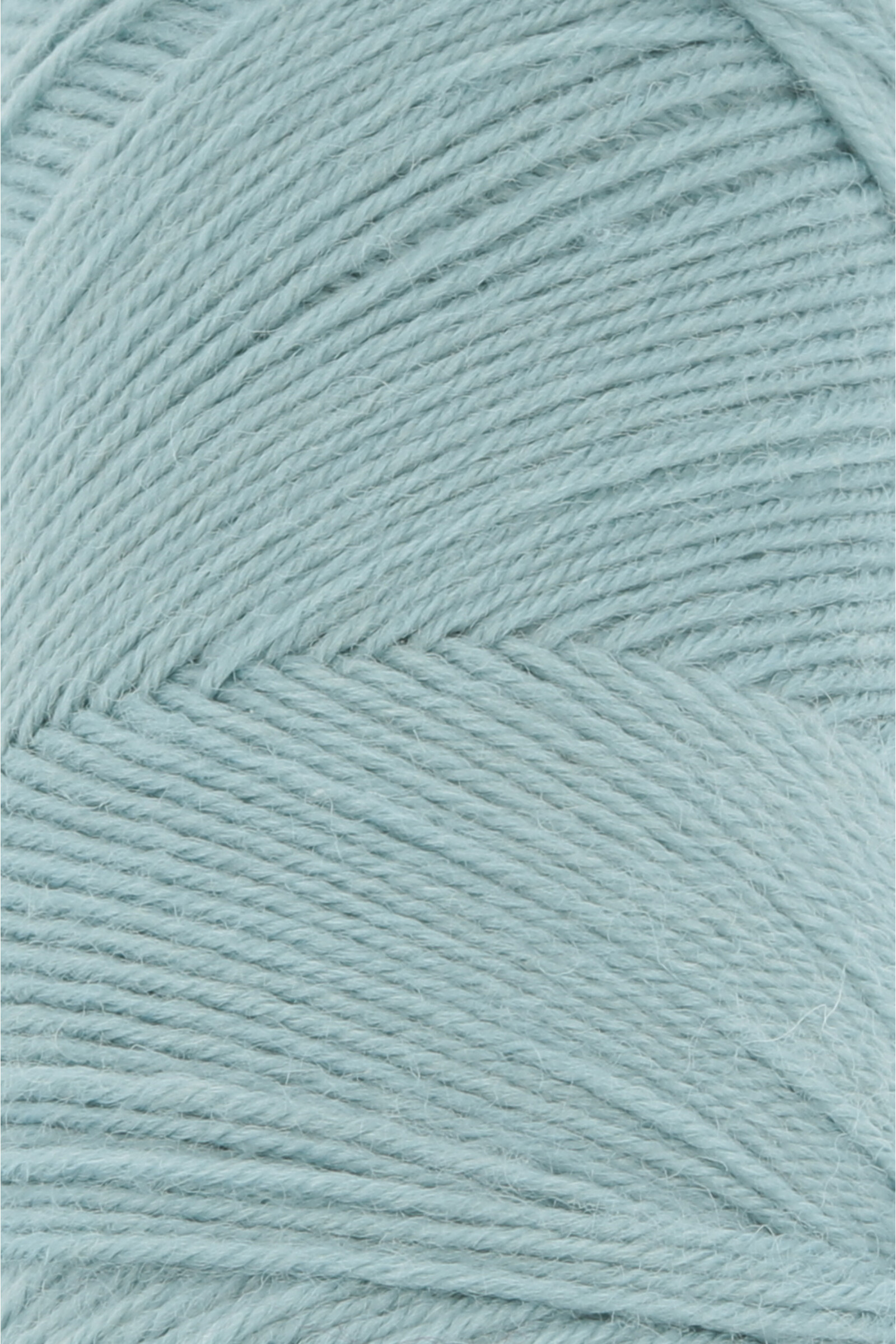 JAWOLL - 372 - SALVIE